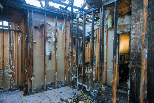 Professional Soot Cleanup technician working in Cayuga Heights, NY